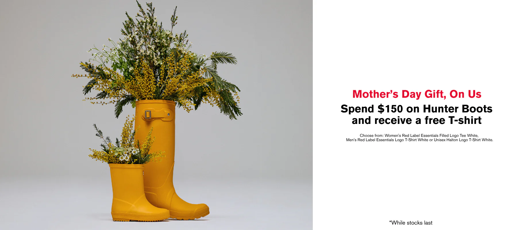 Welcome to Our Store